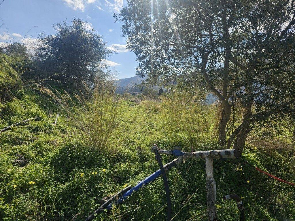 Plot - Grekodom 65413|1046038