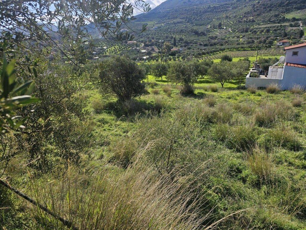 Plot - Grekodom 65413|1046040