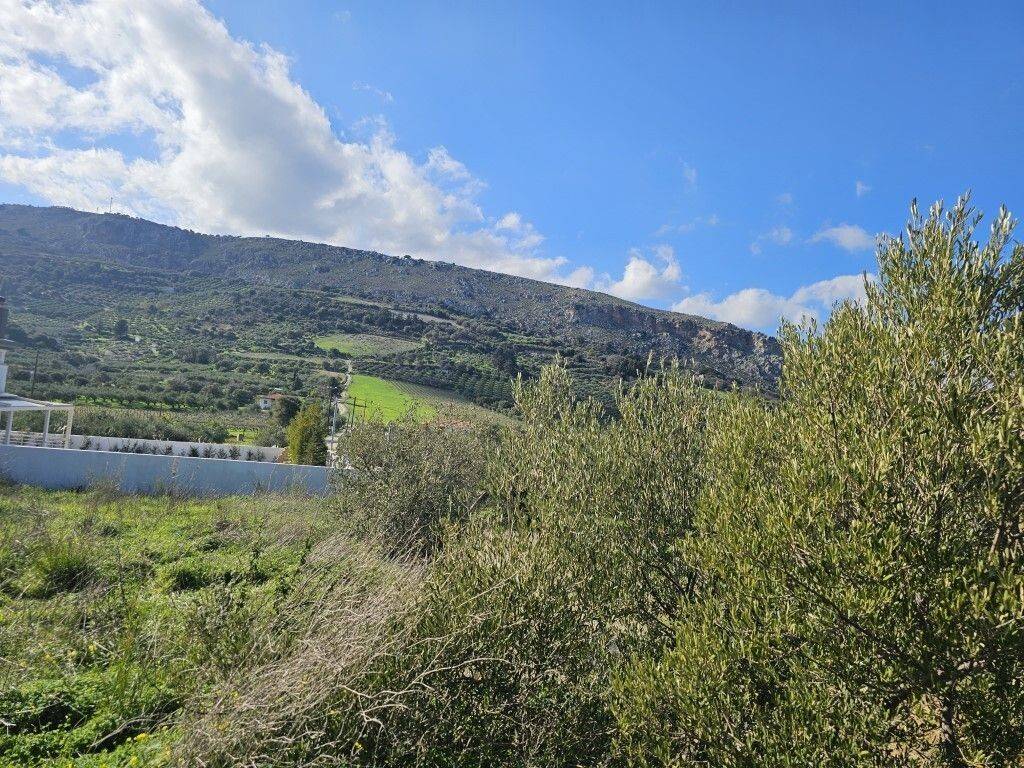 Plot - Grekodom 65413|1046041