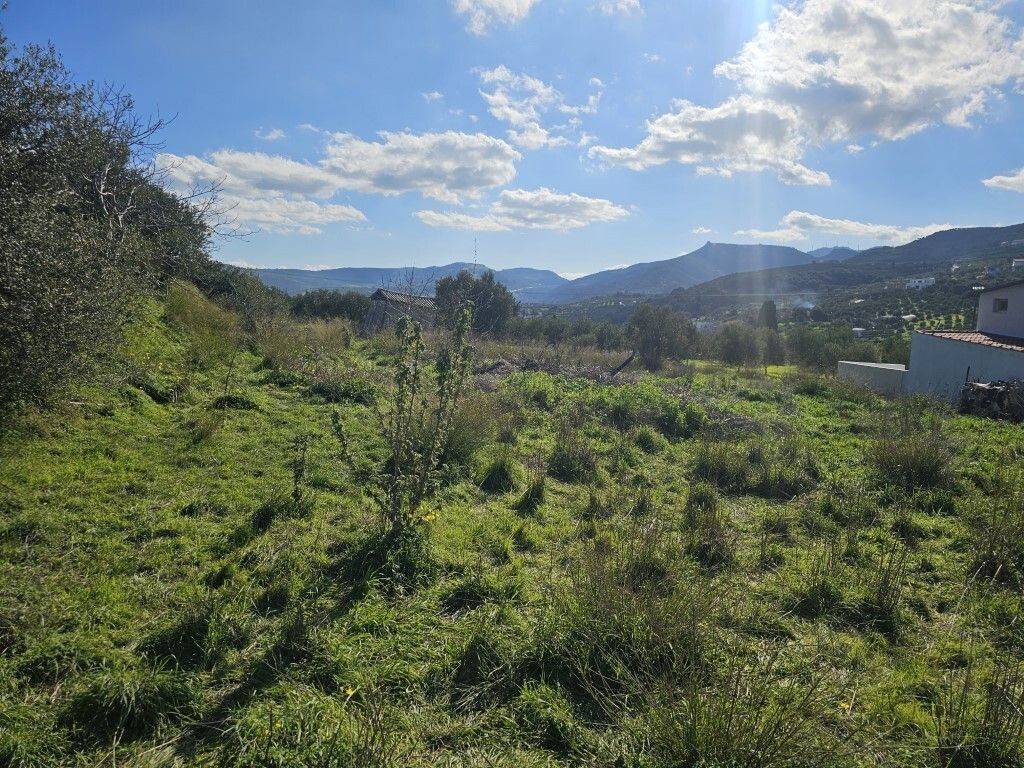 Plot - Grekodom 65413|1046042