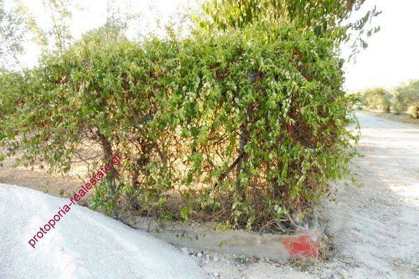 ΠΕΡΙΦΡΑΞΗ ΟΙΚΟΠΕΔΟΥ