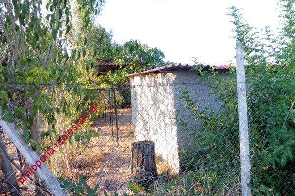 ΟΙΚΟΠΕΔΟ-ΑΠΟΘΗΚΗ