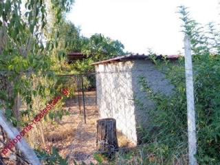 ΟΙΚΟΠΕΔΟ-ΑΠΟΘΗΚΗ