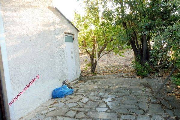 ΛΕΒΙΤΟΣΤΑΣΙΟ