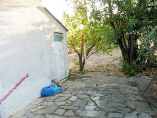 ΛΕΒΙΤΟΣΤΑΣΙΟ