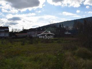 ΑΠΟΨΗ ΟΙΚΟΠΕΔΟΥ