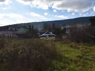 ΑΠΟΨΗ ΟΙΚΟΠΕΔΟΥ