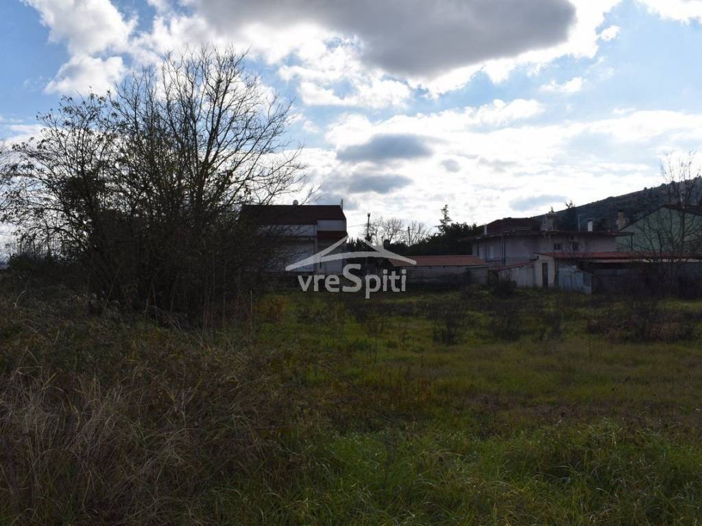 ΑΠΟΨΗ ΟΙΚΟΠΕΔΟΥ