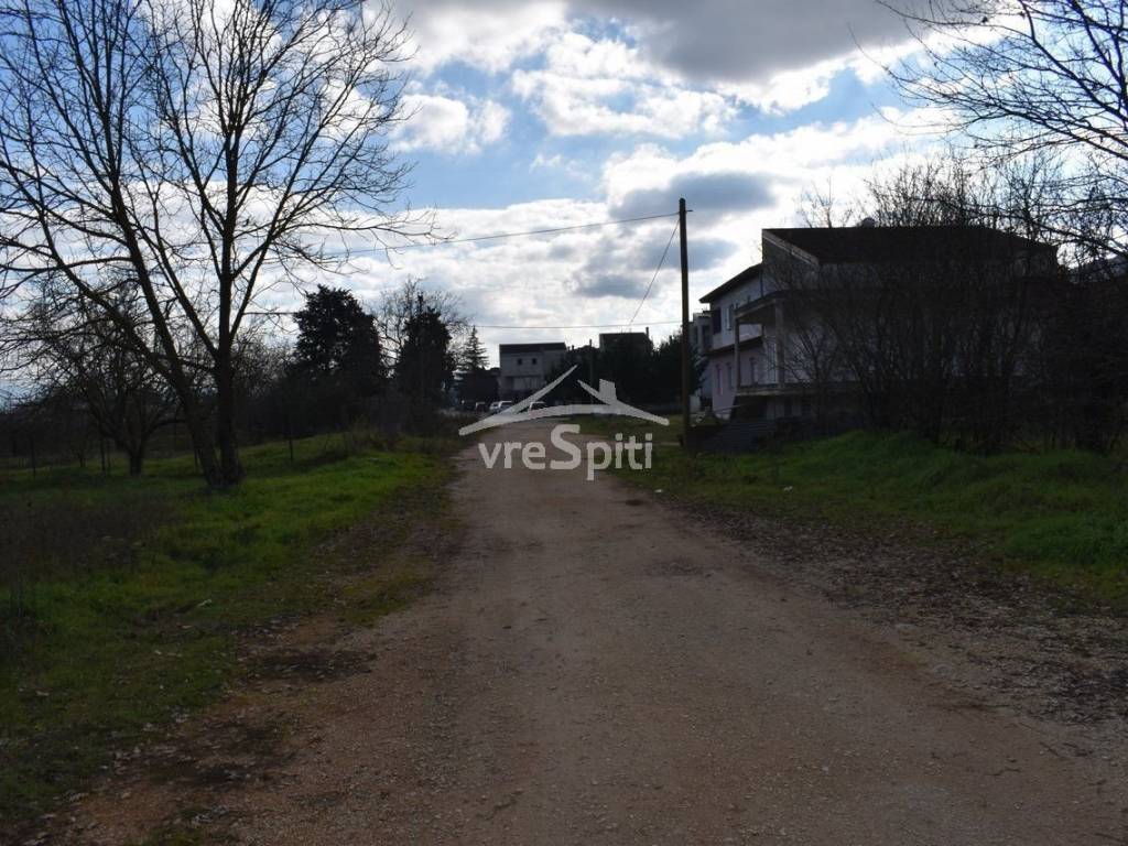 ΑΠΟΨΗ ΟΙΚΟΠΕΔΟΥ