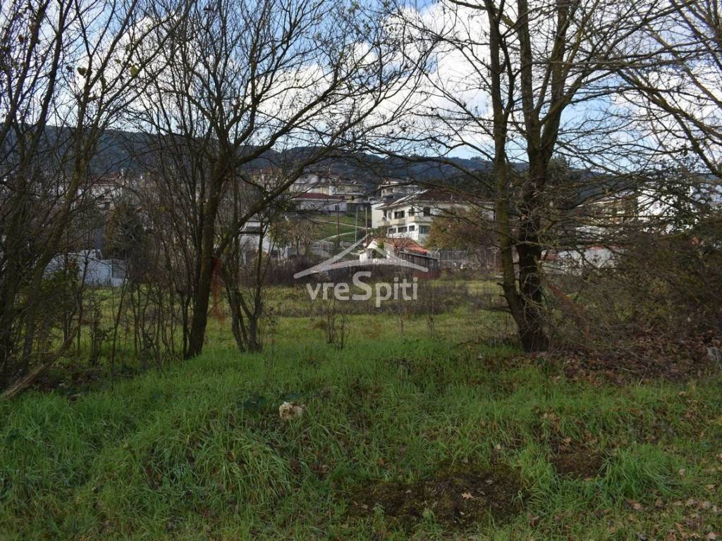 ΑΠΟΨΗ ΟΙΚΟΠΕΔΟΥ