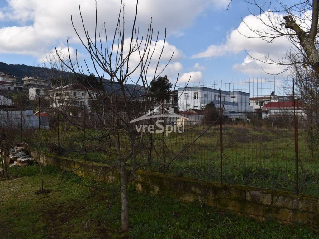 ΑΠΟΨΗ ΟΙΚΟΠΕΔΟΥ