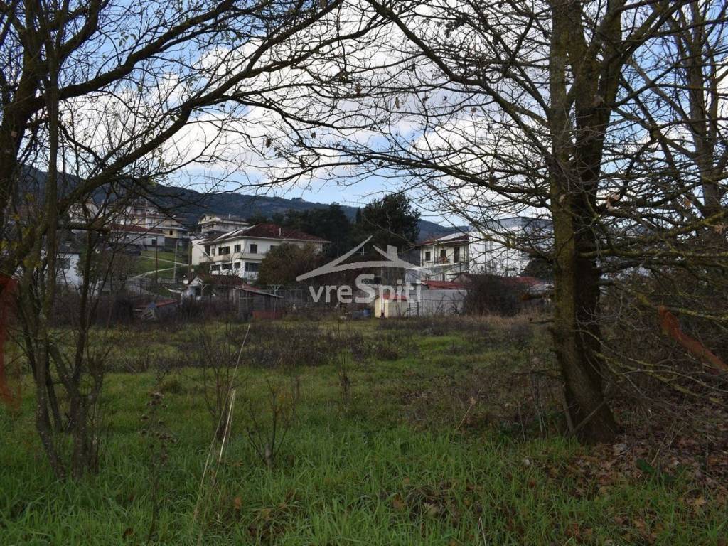 ΑΠΟΨΗ ΟΙΚΟΠΕΔΟΥ