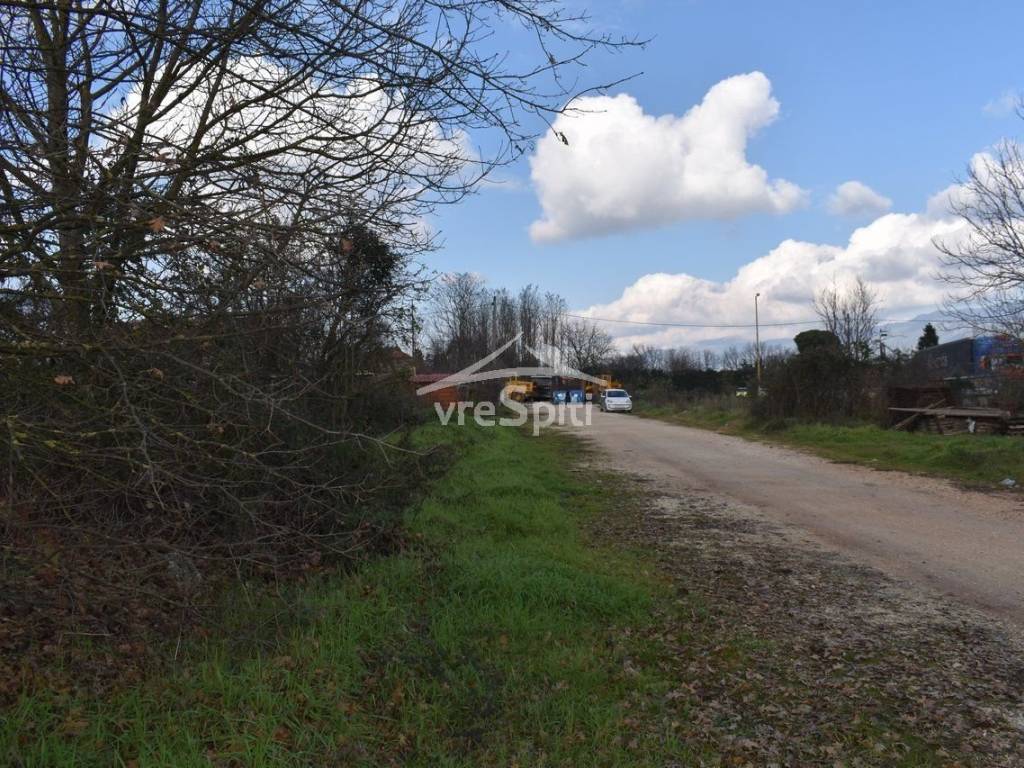 ΑΠΟΨΗ ΟΙΚΟΠΕΔΟΥ