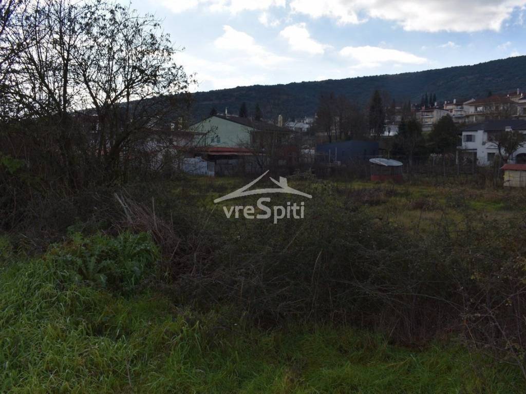 ΑΠΟΨΗ ΟΙΚΟΠΕΔΟΥ