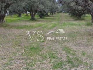 αποψη οικοπεδου