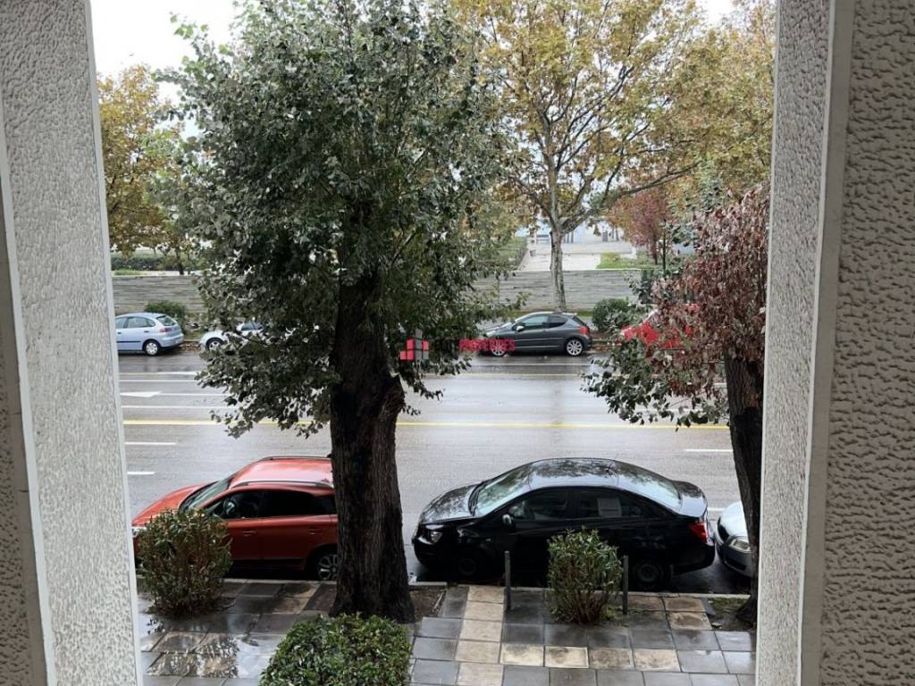 ΘΕΑ ΠΑΡΑΛΙΑ