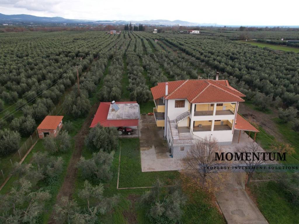 Εξωτερικοι χώροι