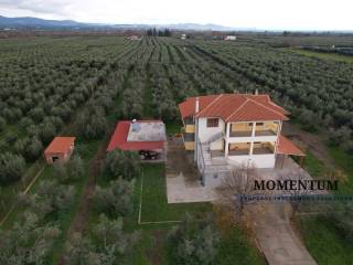 Εξωτερικοι χώροι