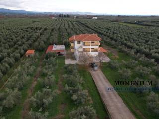 Εξωτερικοι χώροι