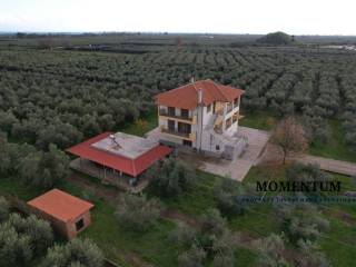 Εξωτερικοι χώροι