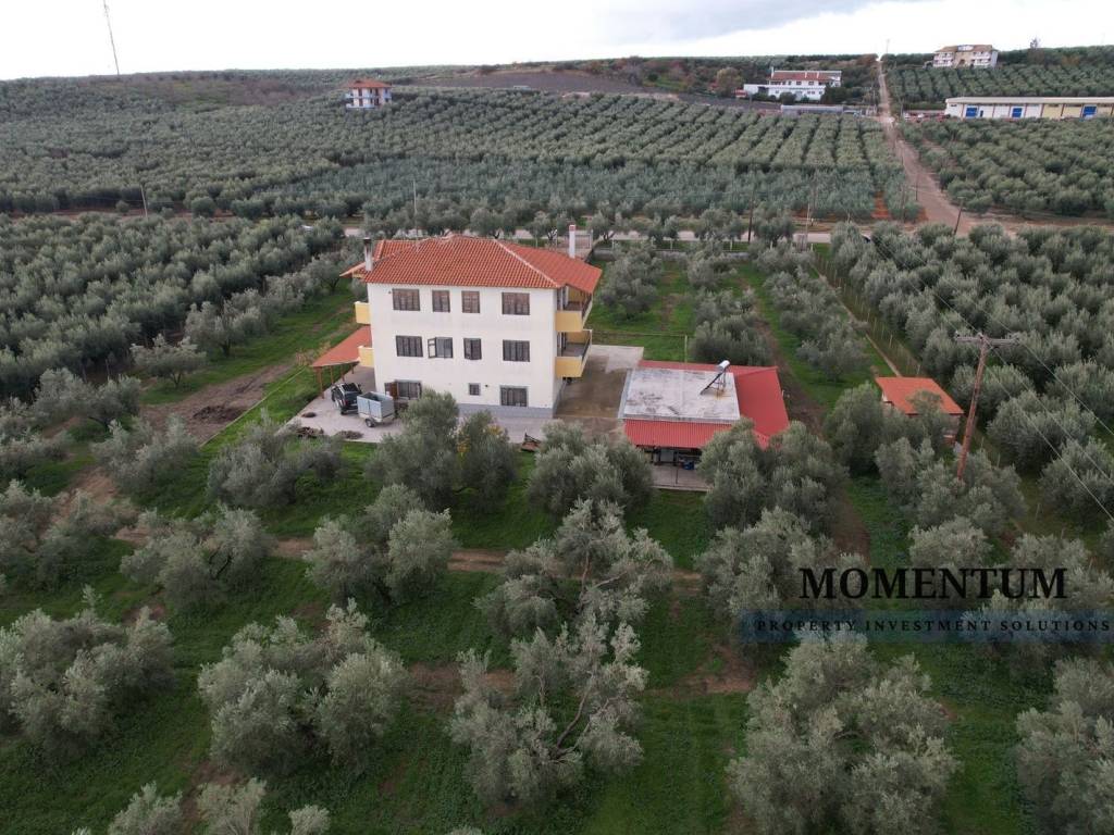 Εξωτερικοι χώροι