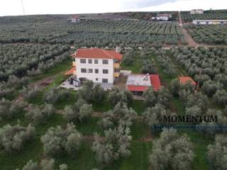 Εξωτερικοι χώροι