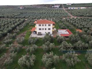 Εξωτερικοι χώροι