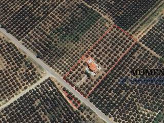 Εξωτερικοι χώροι