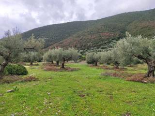 AGROTEMACHIO 5.590 T.M.