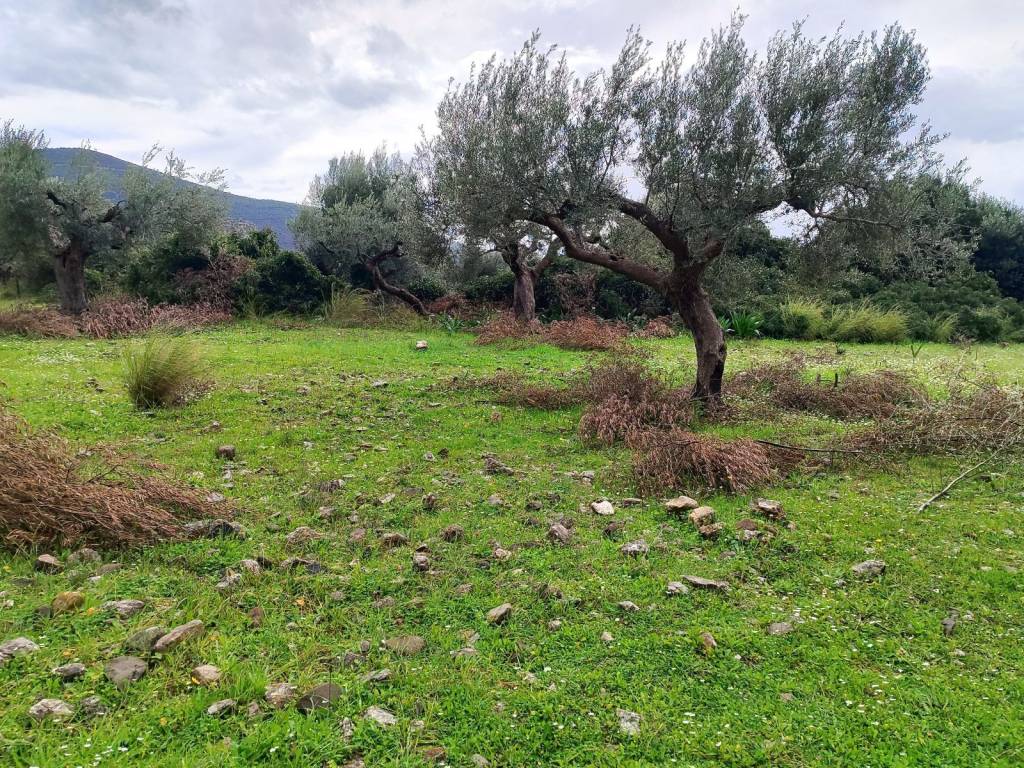 PROSBASE ME AYTOKINETO APO CHOMATODROMO