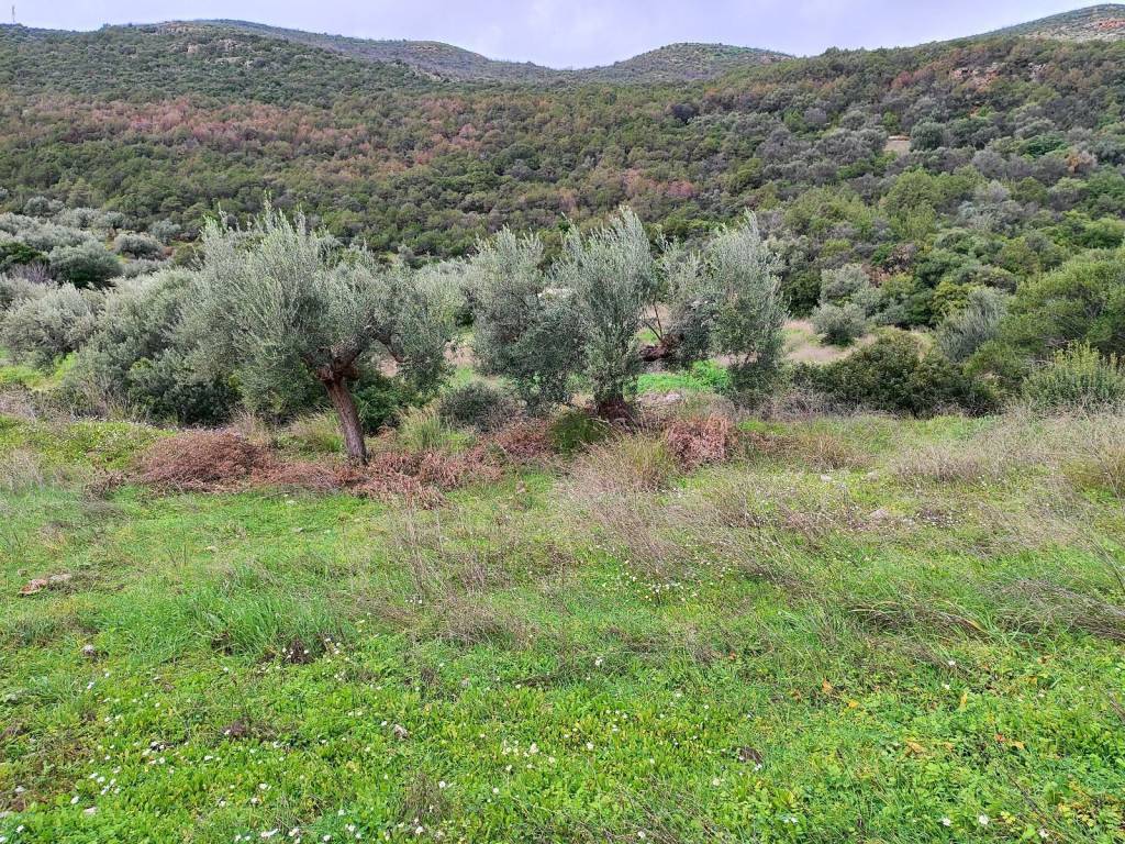 SE AGROTIKE PERIOCHE