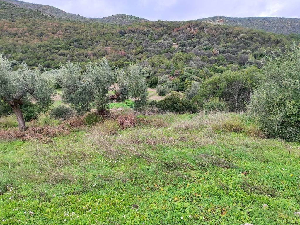 NOTIO PROSANATOLISMO POY EXASPHALIZEI ELIOPHANEIA