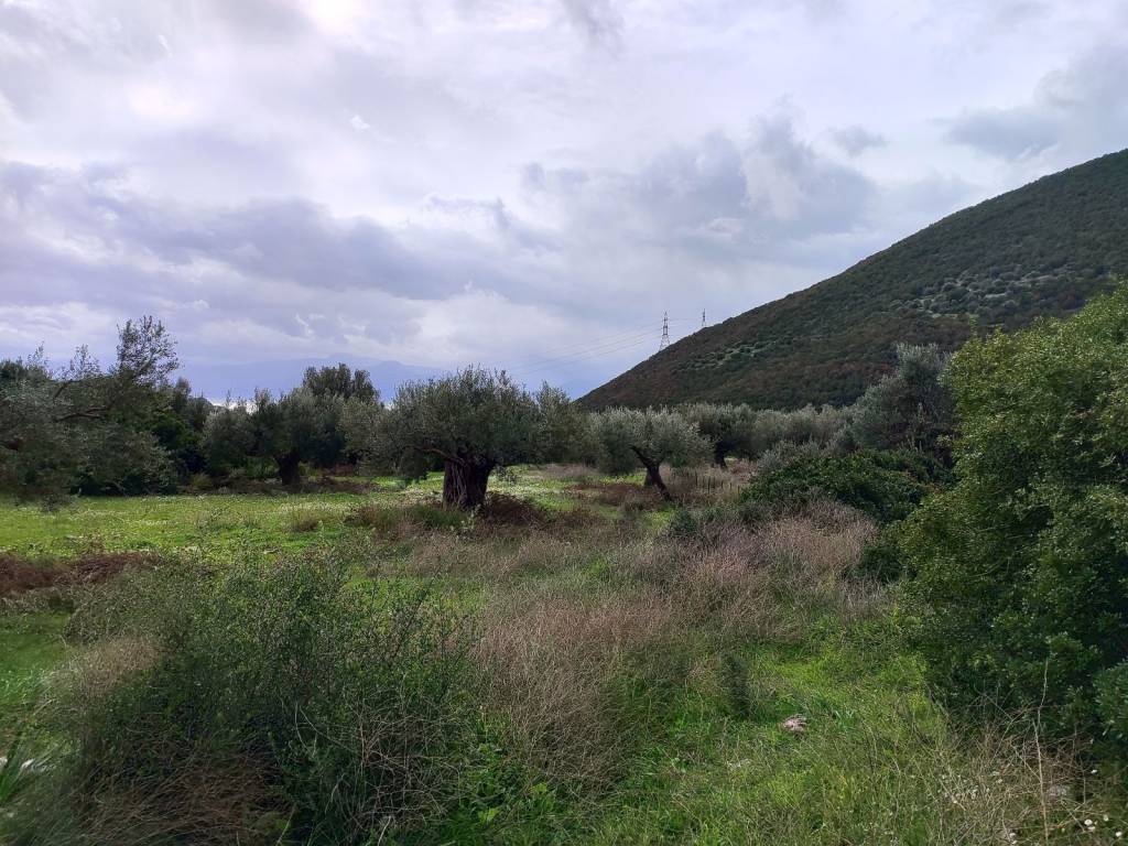 BRISKETAI SE ESYCHE PERIOCHE