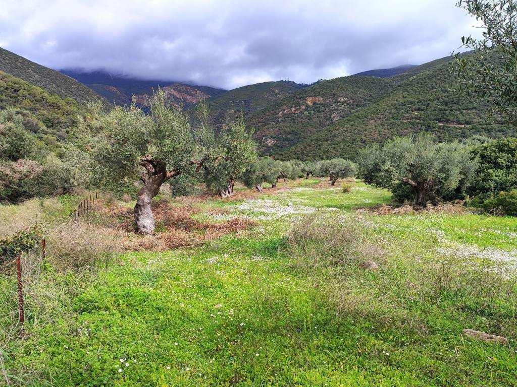 KATALLELO GIA AGROTIKE ANAPTYXE