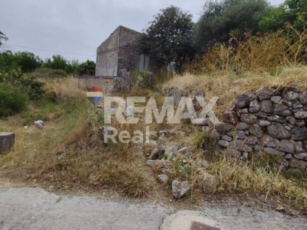 Ύπαρξη ανθρώπου