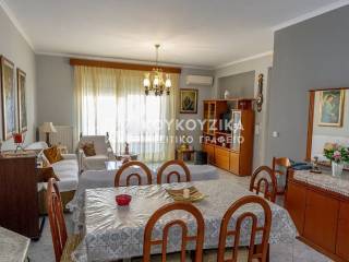 Σαλοκουζίνα