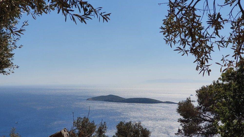 Θέα θάλασσα #8