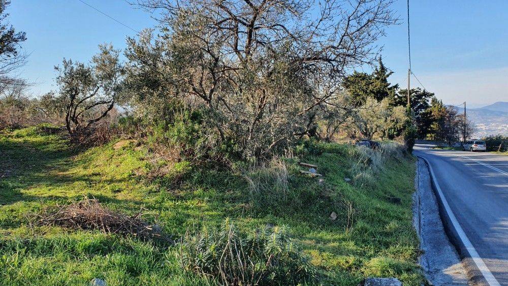 Πλάγια Όψη #1