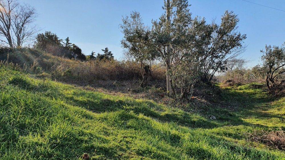 Άποψη χώρου #1