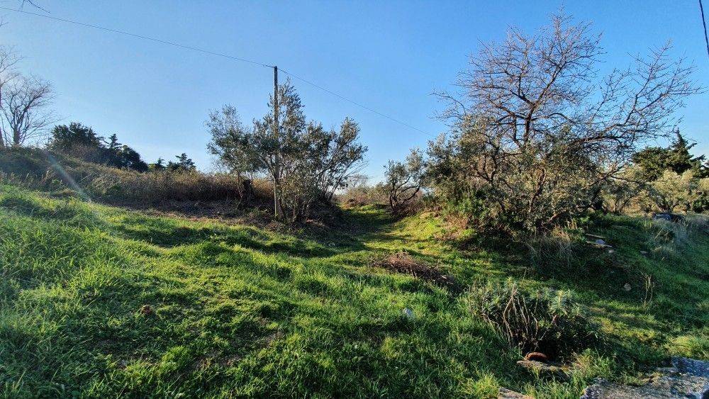 Άποψη χώρου #2