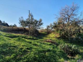 Άποψη χώρου #2