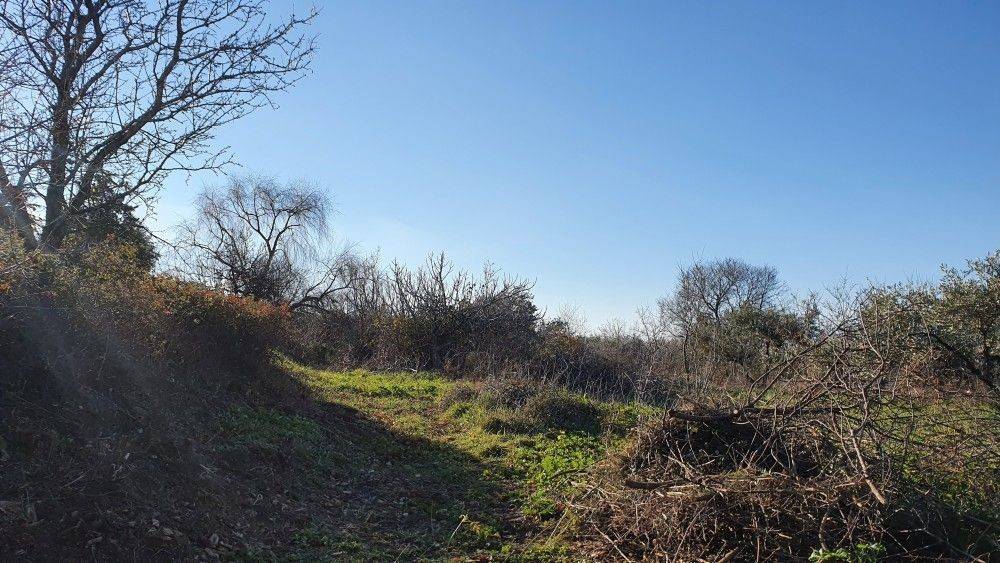 Άποψη χώρου #3