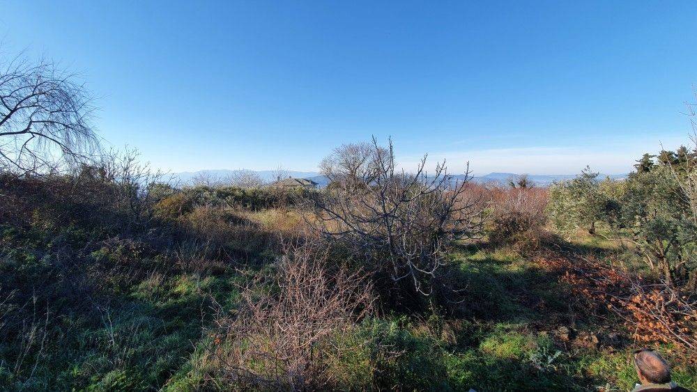 Άποψη χώρου #4