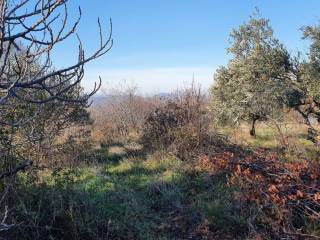 Άποψη χώρου #5