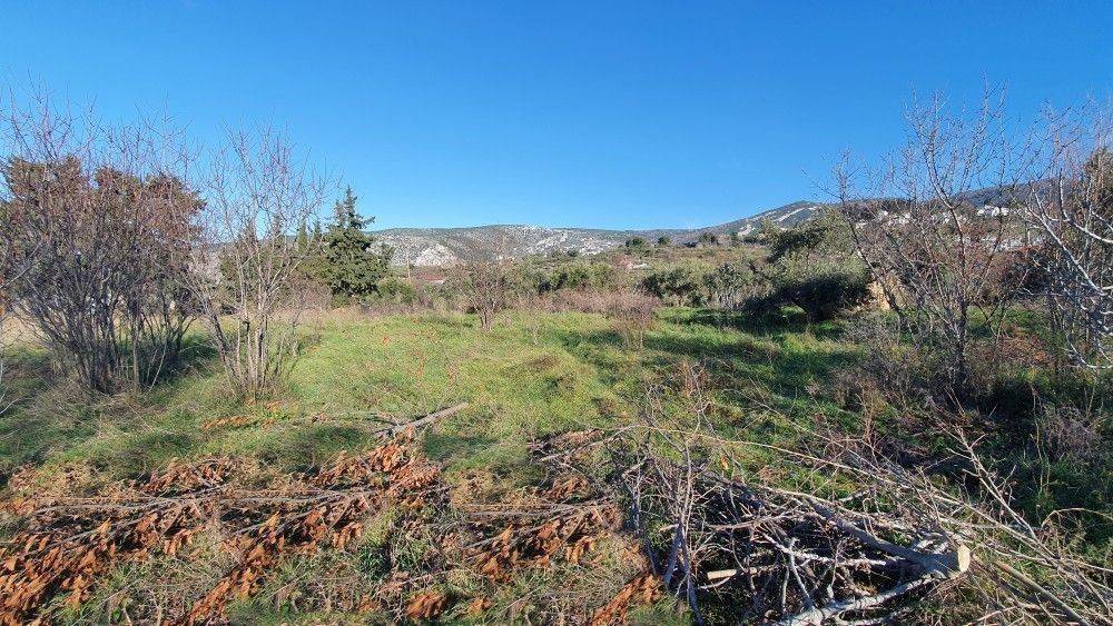 Άποψη χώρου #7