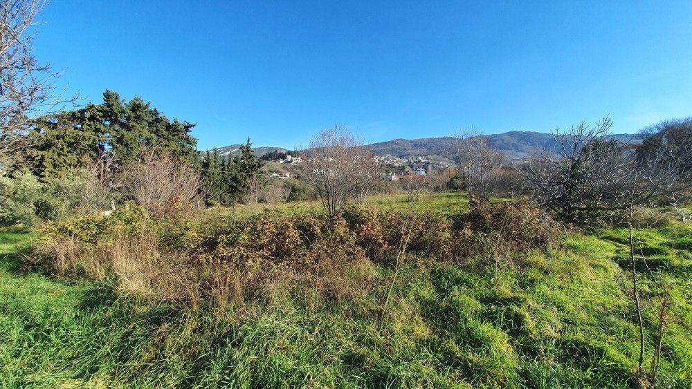 Άποψη χώρου #9