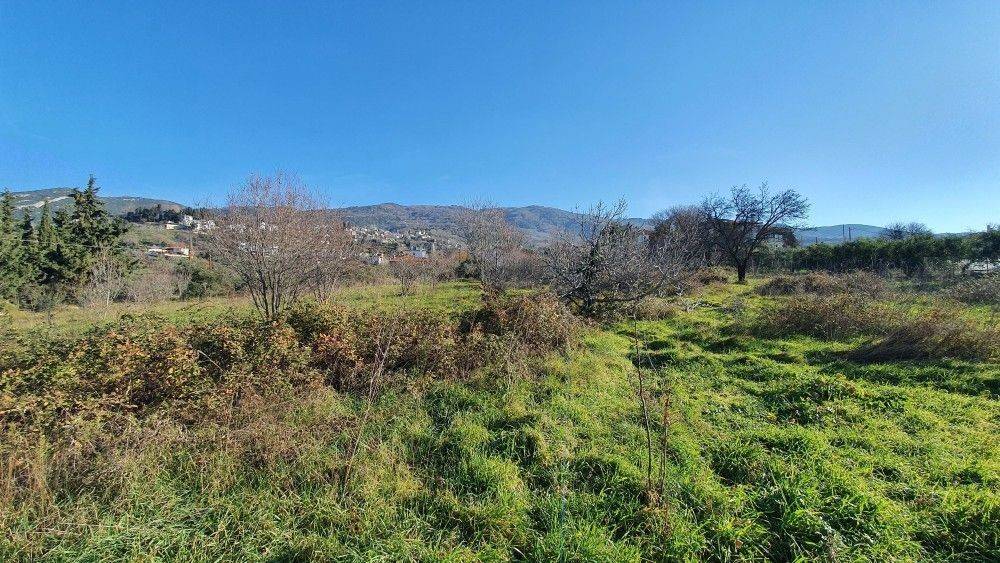 Άποψη χώρου #10