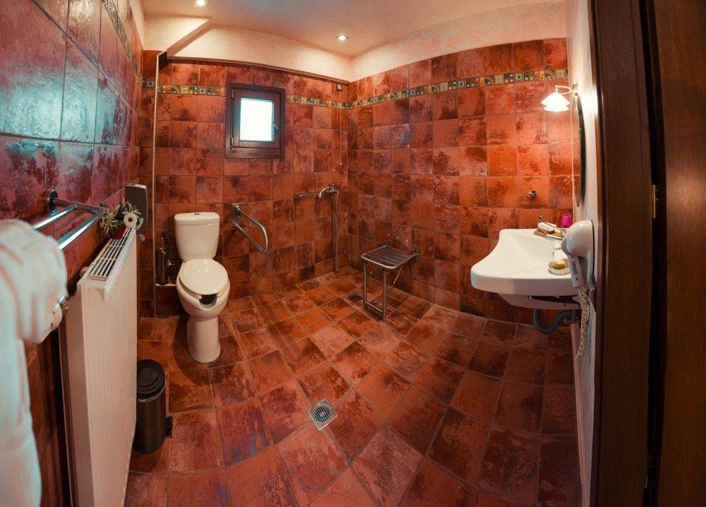 Μπάνιο ΑΜΕΑ