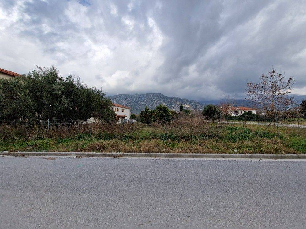 Άποψη χώρου