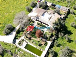 Ύπαρξη ανθρώπου